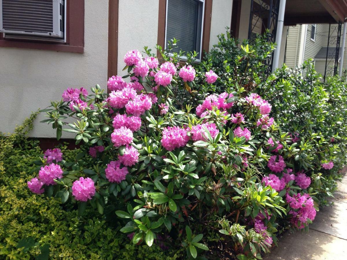 Bowers House Bnb Harvard Mit Cambridge Boston Сомервилл Экстерьер фото